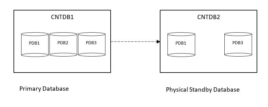 Oracle_Database_19c_2
